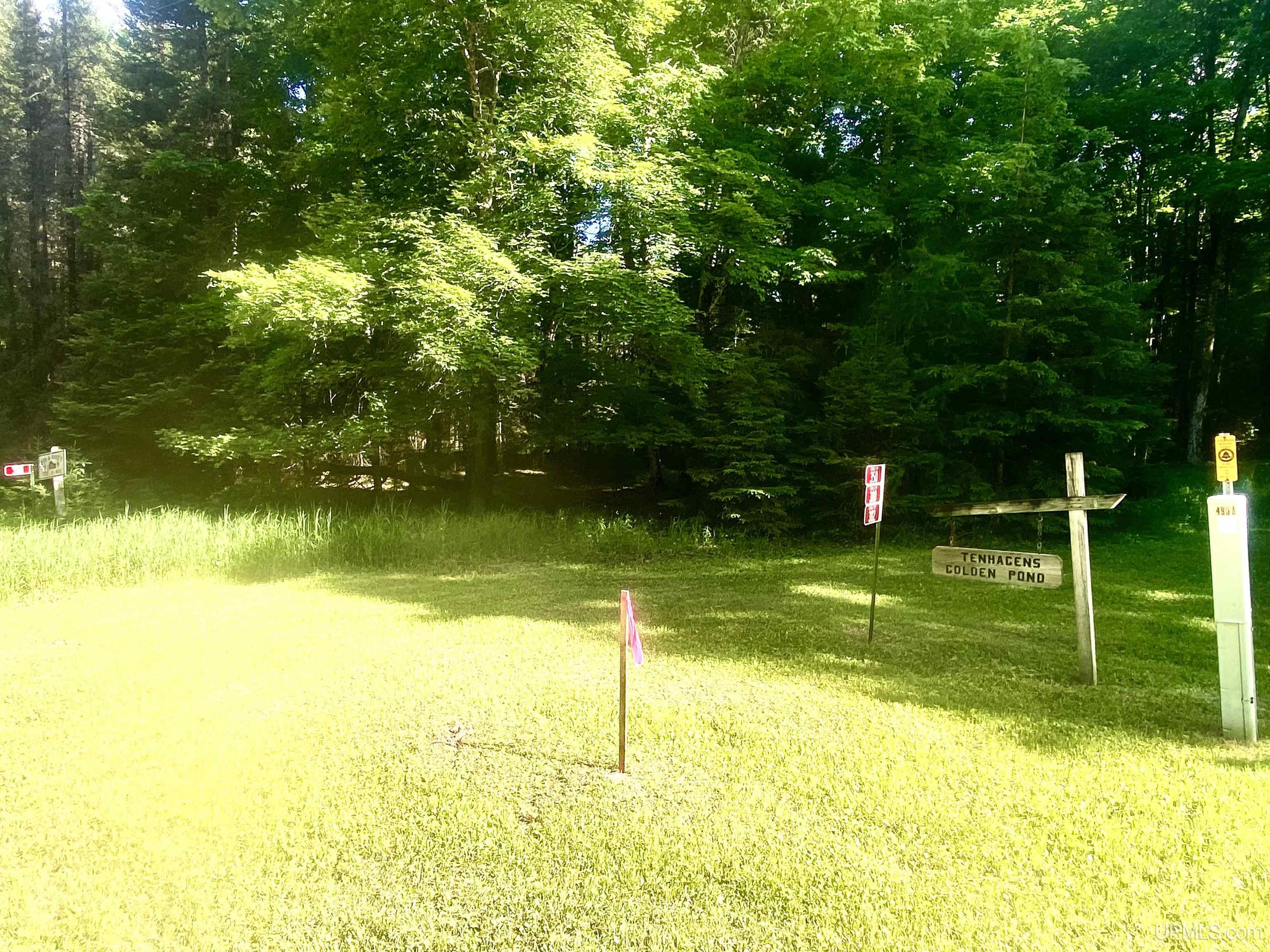Tbd Cedardale 28th Road Cornell, MI 49818 - Photo 5 of 7