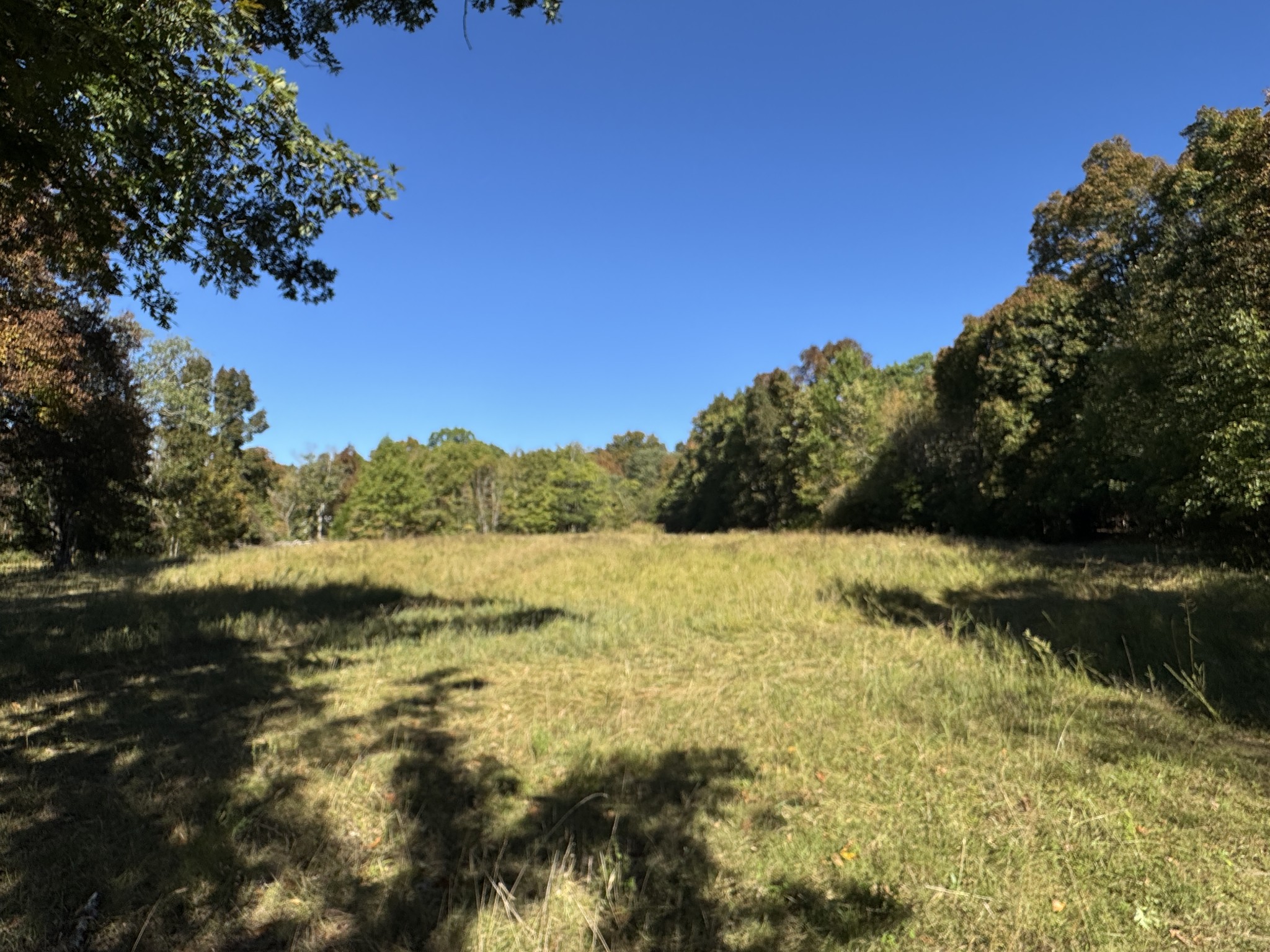 2 Lindsley Road Lebanon, TN 37090 - Photo 4 of 16 Gallery Image 4