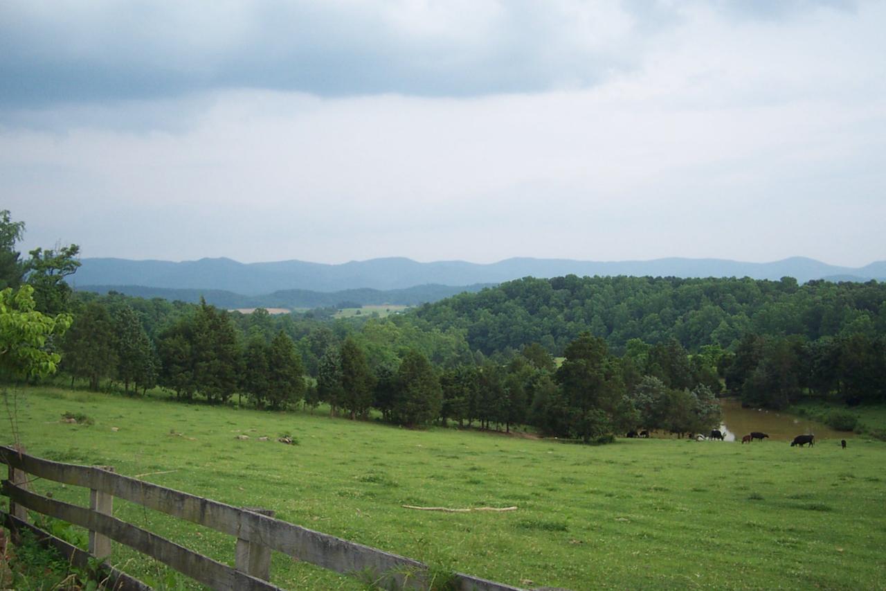 593 Black Magic Farm Road Buchanan, VA 24066 - Photo 2 of 33 back view of mtns and pond