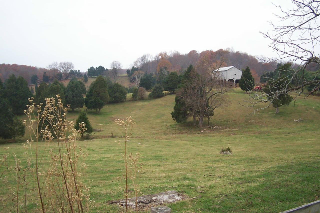 593 Black Magic Farm Road Buchanan, VA 24066 - Photo 19 of 33 back view 2