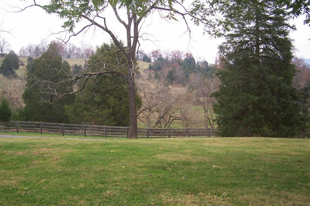 593 Black Magic Farm Road Buchanan, VA 24066 - Photo 24 of 33 Front view across street