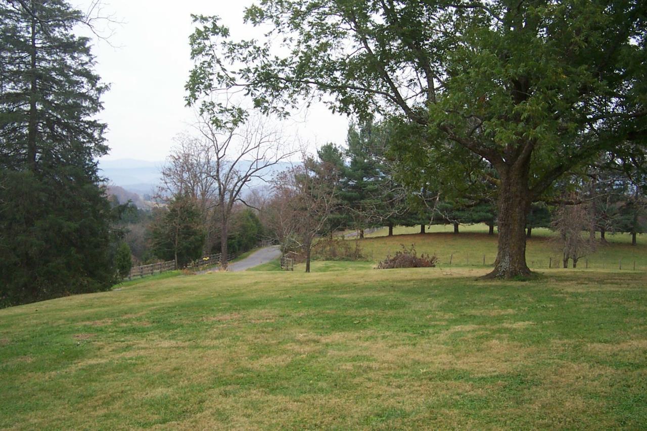 593 Black Magic Farm Road Buchanan, VA 24066 - Photo 25 of 33 another view down street