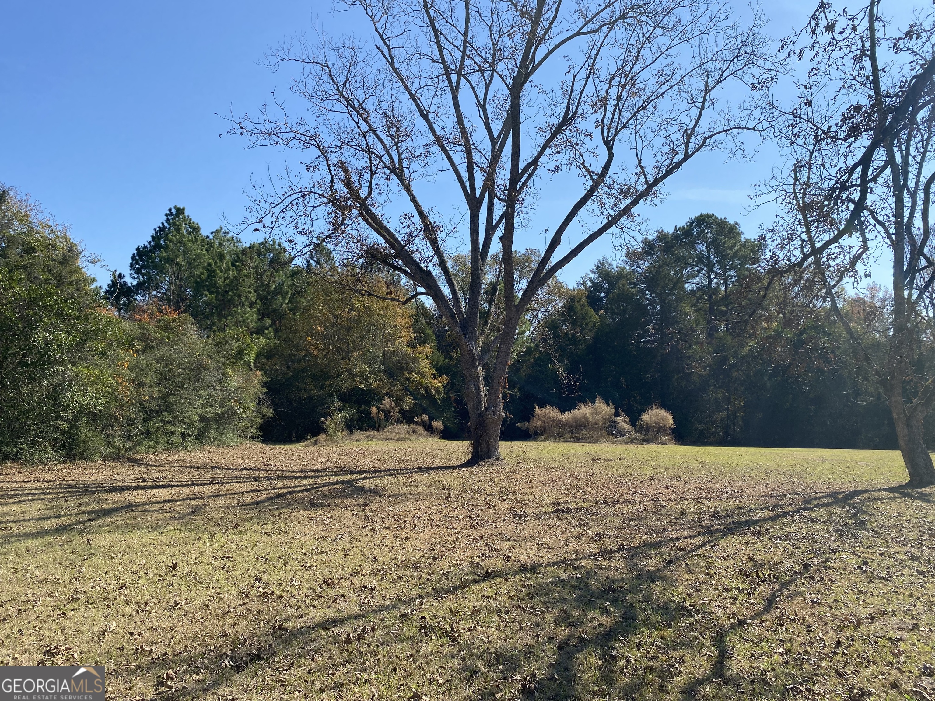 1005 Pleasant Springs Church Road Rockledge, GA 30454 - Photo 6 of 25
