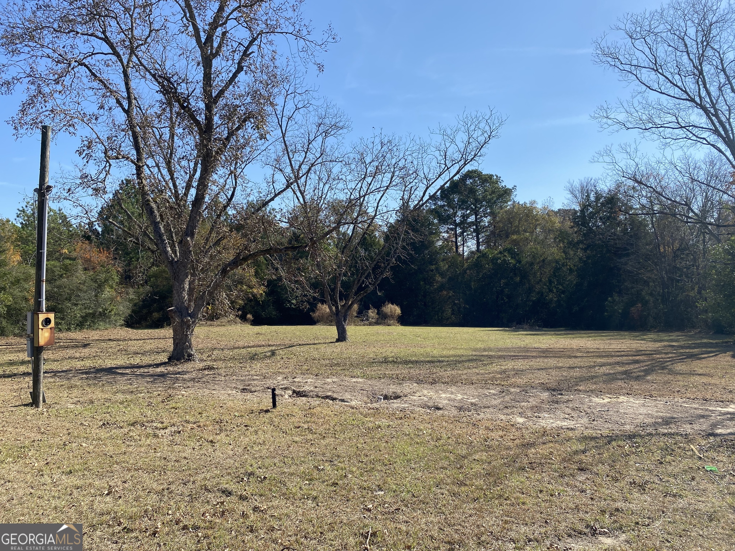 1005 Pleasant Springs Church Road Rockledge, GA 30454 - Photo 7 of 25