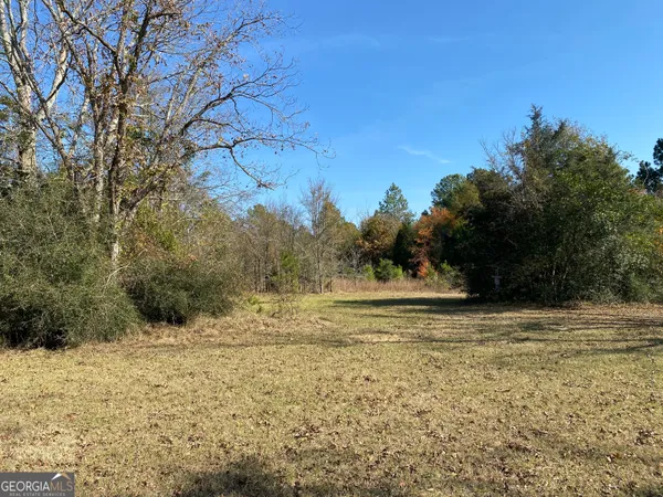 a view of a yard with an outdoor space