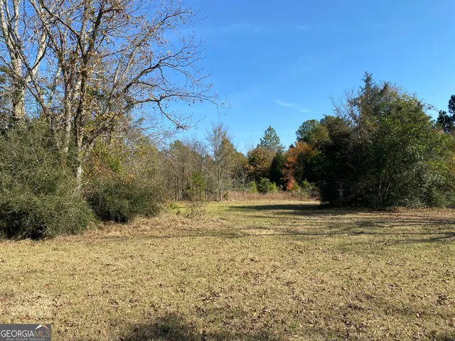 a view of a yard with an outdoor space