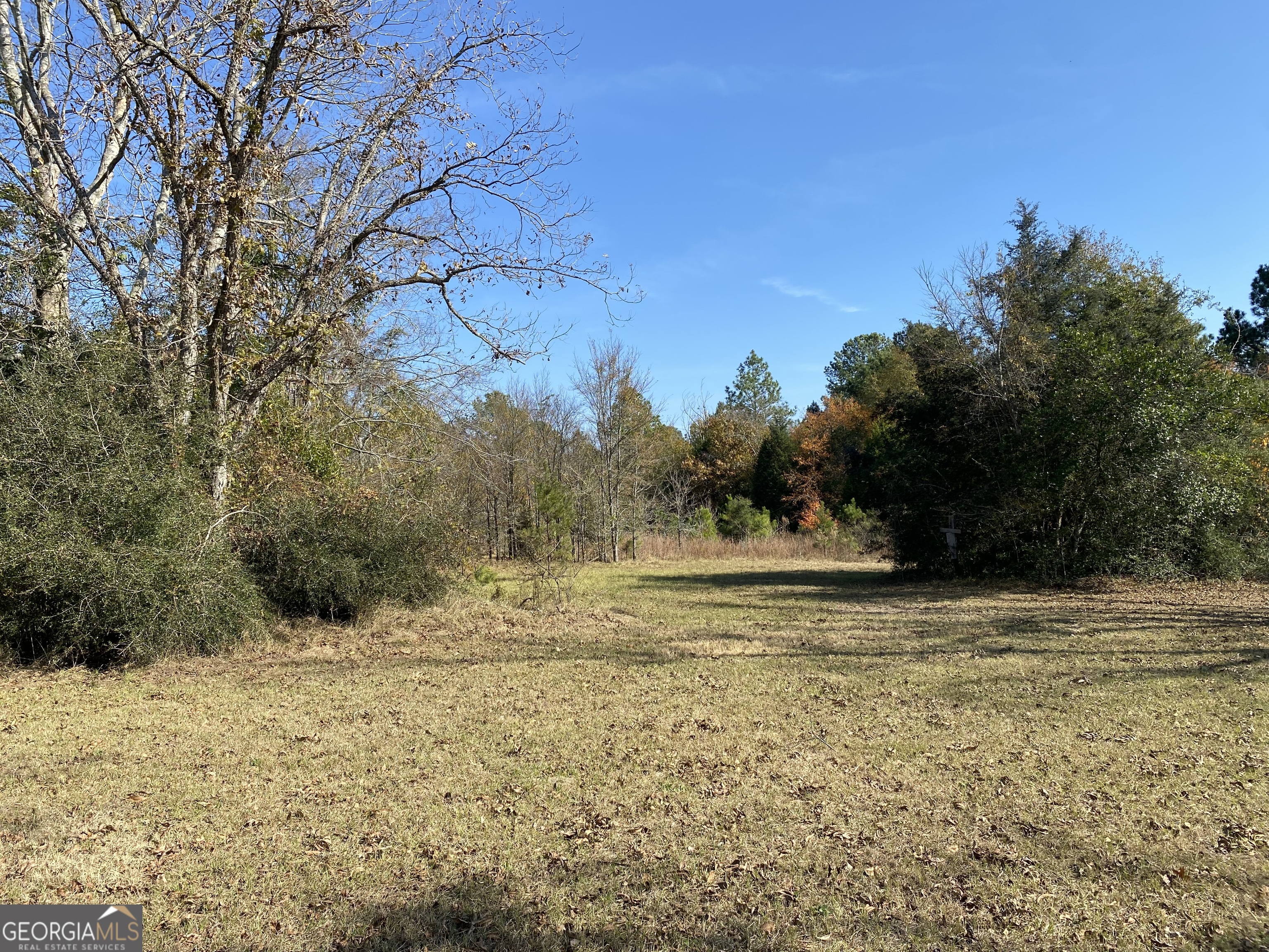 1005 Pleasant Springs Church Road Rockledge, GA 30454 - Photo 8 of 25