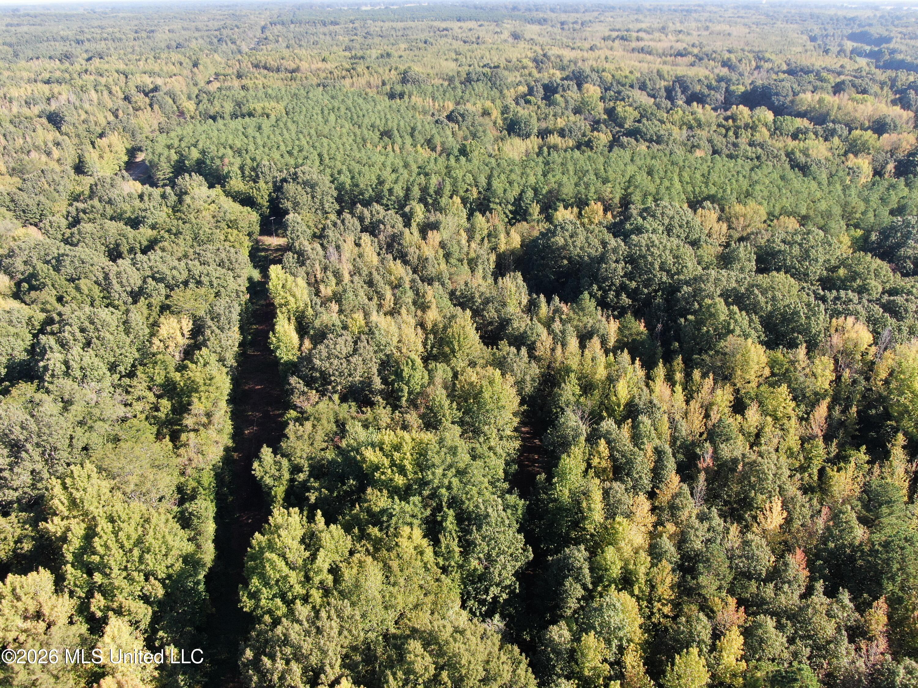 390 Old Panola Road Como, MS 38619 - Photo 24 of 71 DJI_0160