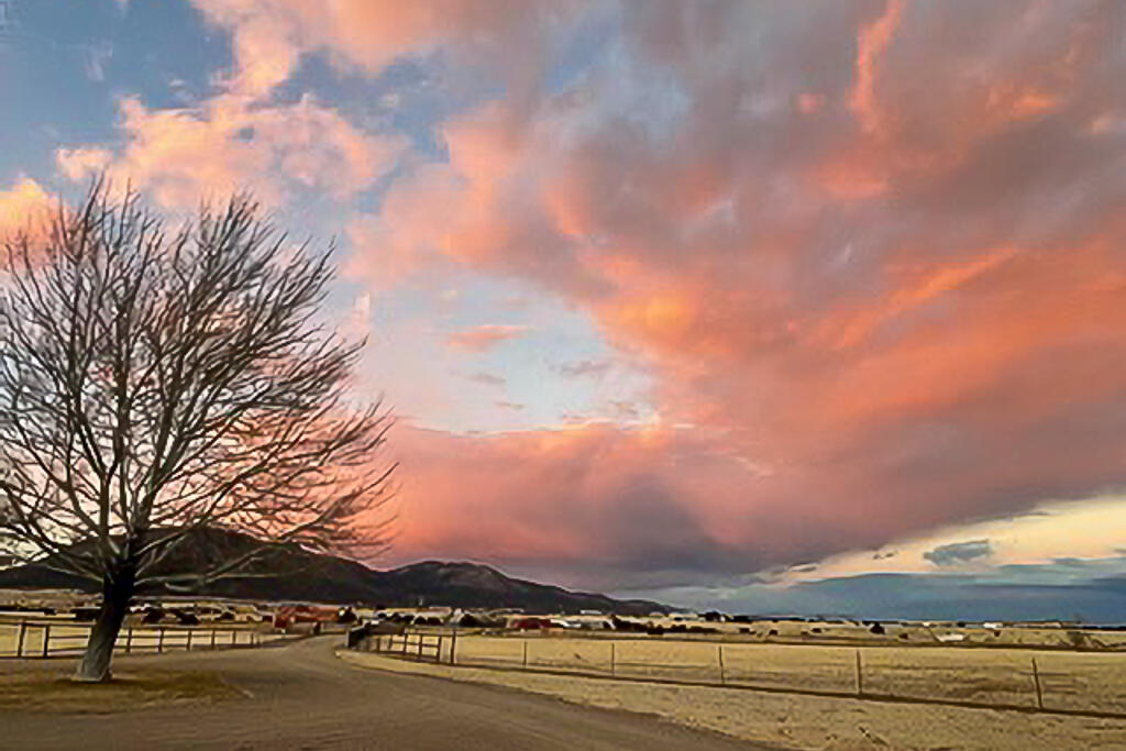 90 Nugent Road Edgewood, NM 87015 - Photo 52 of 61 Gallery Image 52