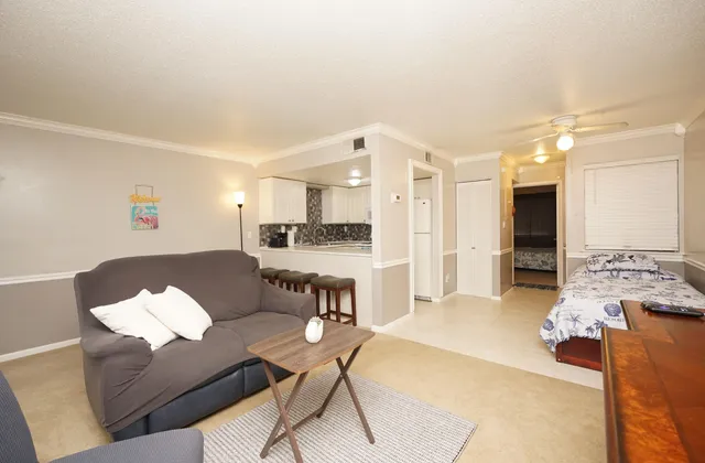 a living room with furniture and a dining table with kitchen view