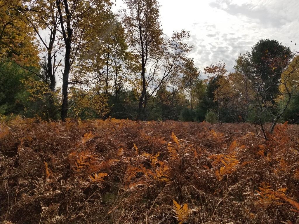 2089 Sigma Road Southeast Kalkaska, MI 49646 - Photo 27 of 57 1905734-26.JPG