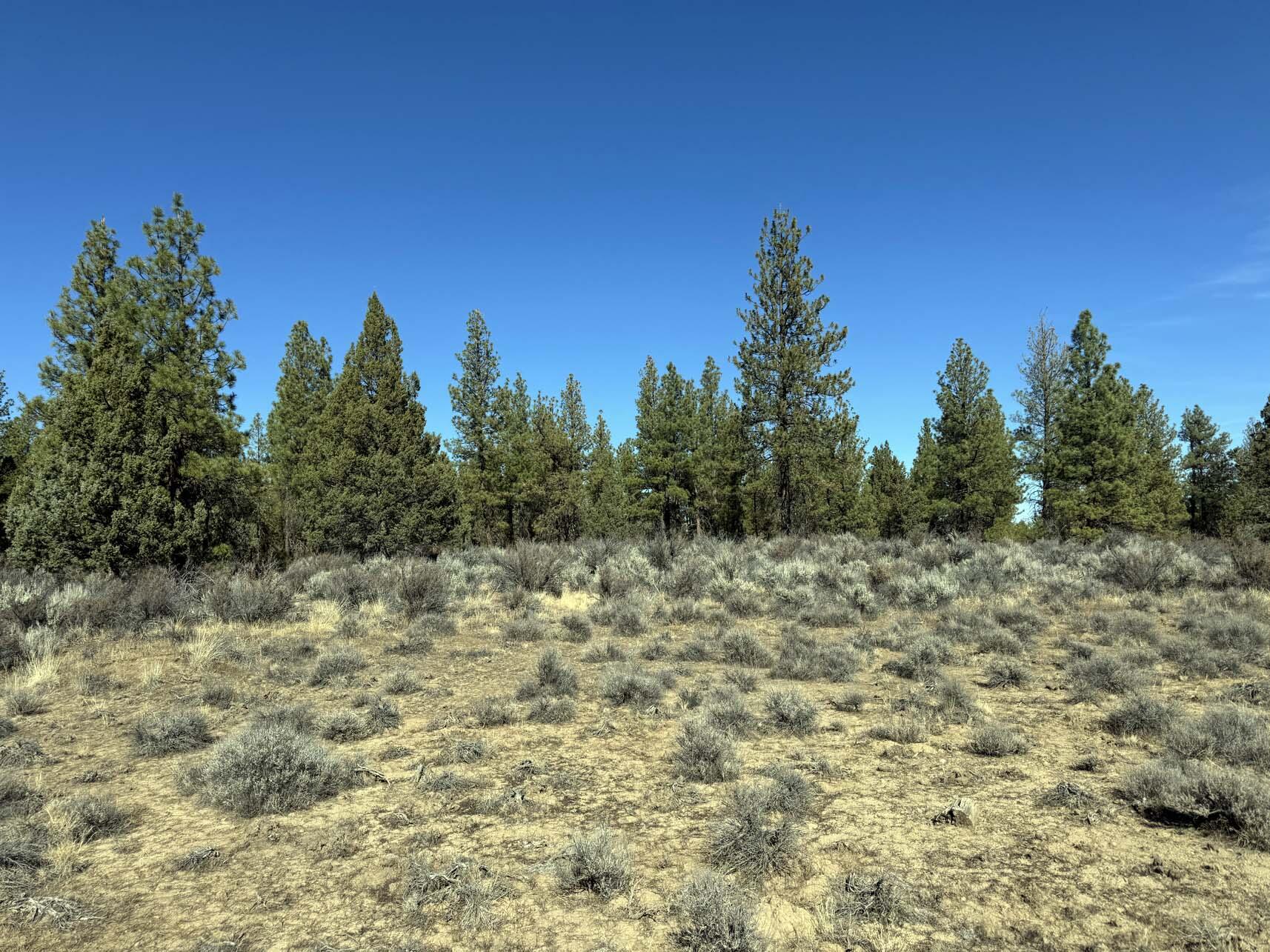 Oregon Pines Road, Unit TL 600 Sprague River, OR 97639 - Photo 36 of 52 IMG_4333