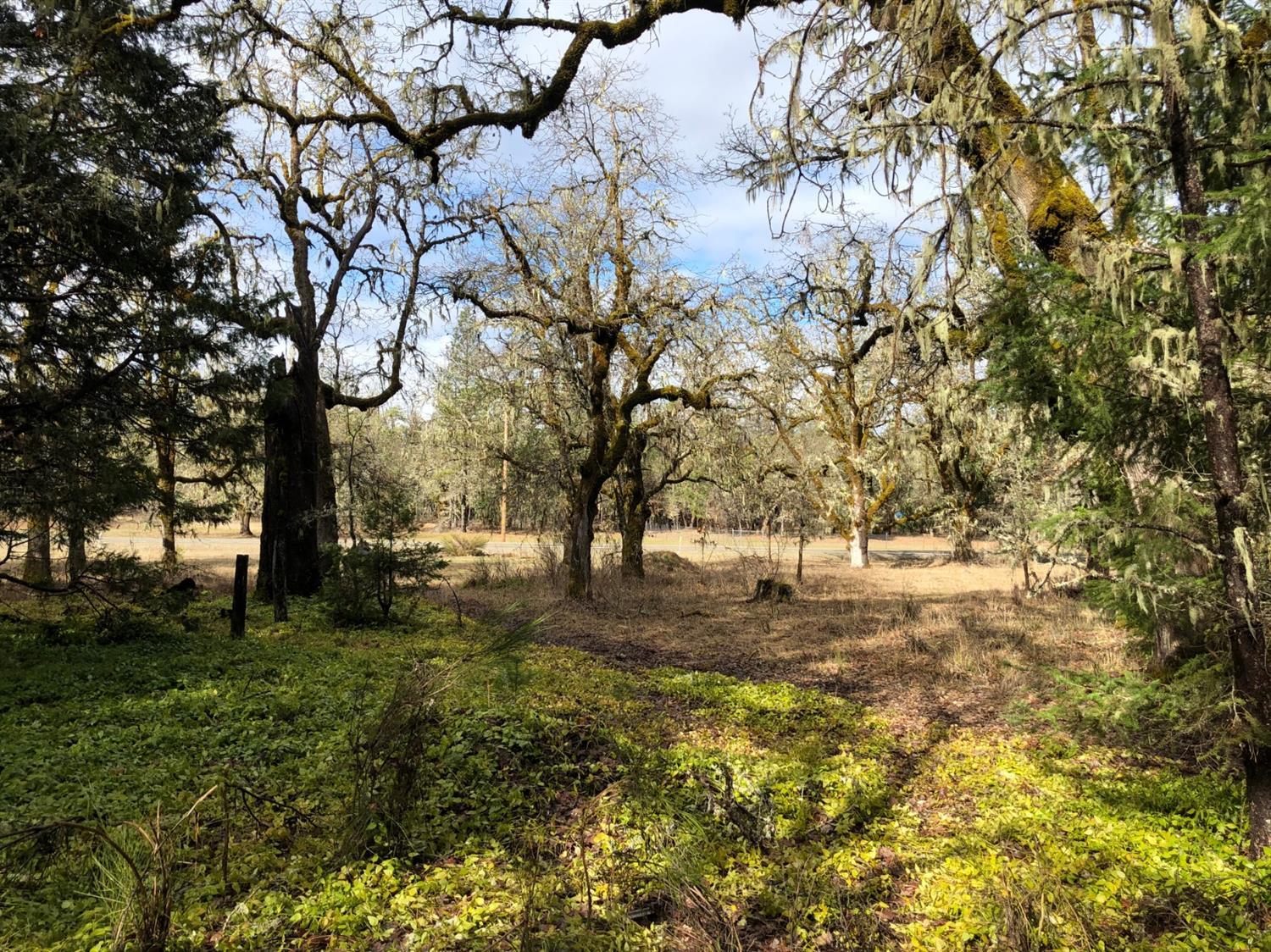 0 Dick George Road, Unit TL300 Cave Junction, OR 97523 - Photo 13 of 18 Additional Photo
