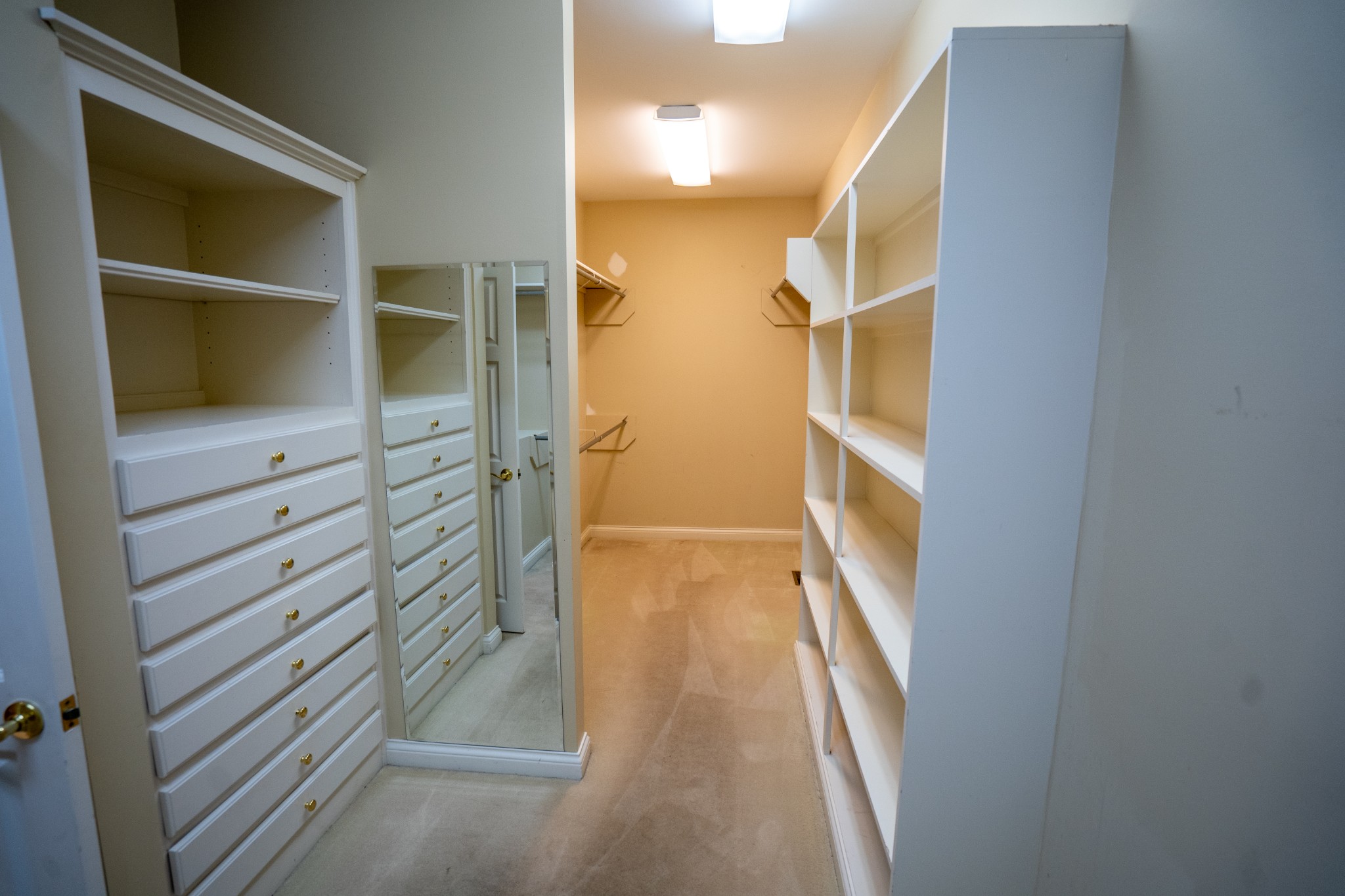 156 Eagle Pointe Springfield, TN 37172 - Photo 17 of 36 a view of closet