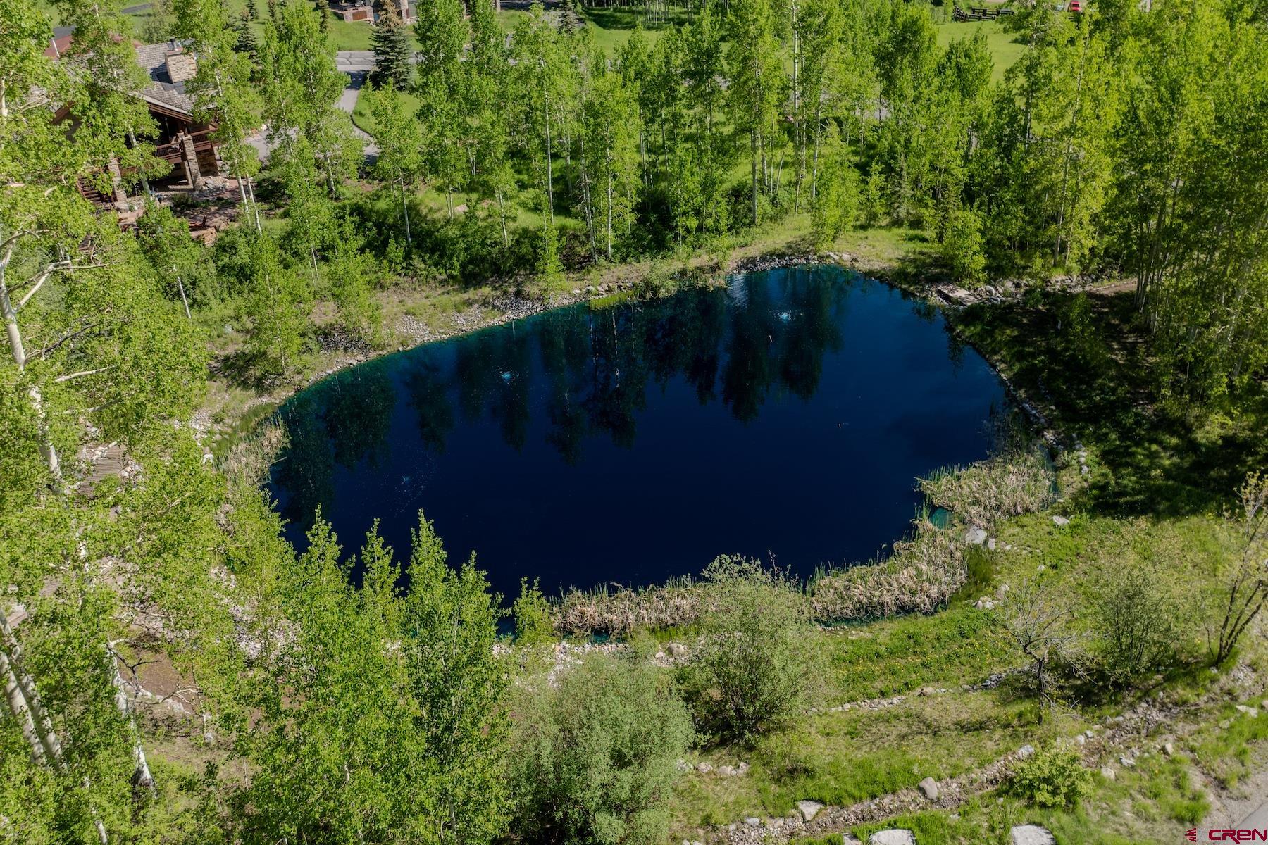 75 Falcon Ridge Road Durango, CO 81301 - Photo 17 of 27 a view of a lush green forest