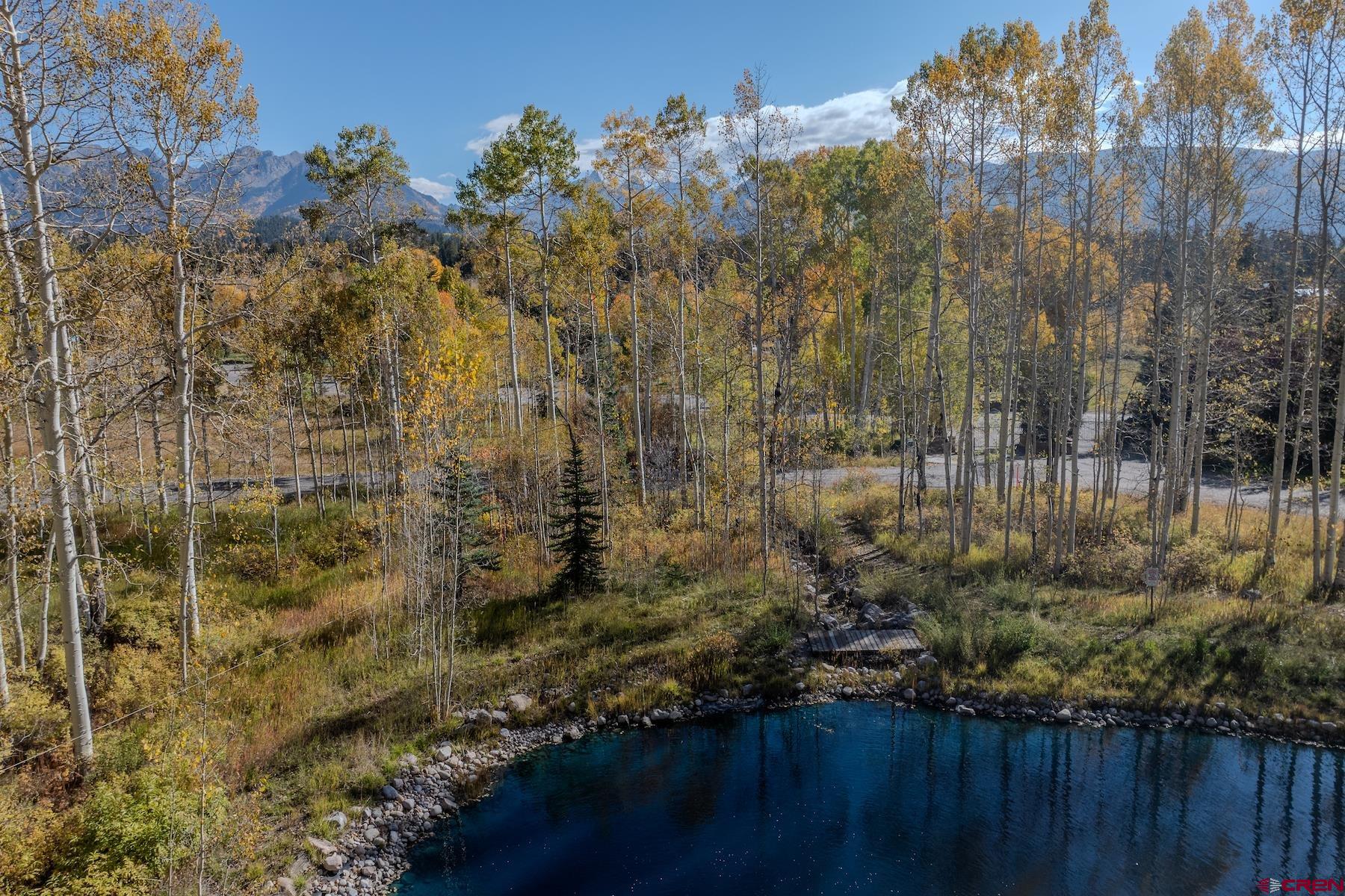 75 Falcon Ridge Road Durango, CO 81301 - Photo 6 of 27 a view of a house with a yard and trees