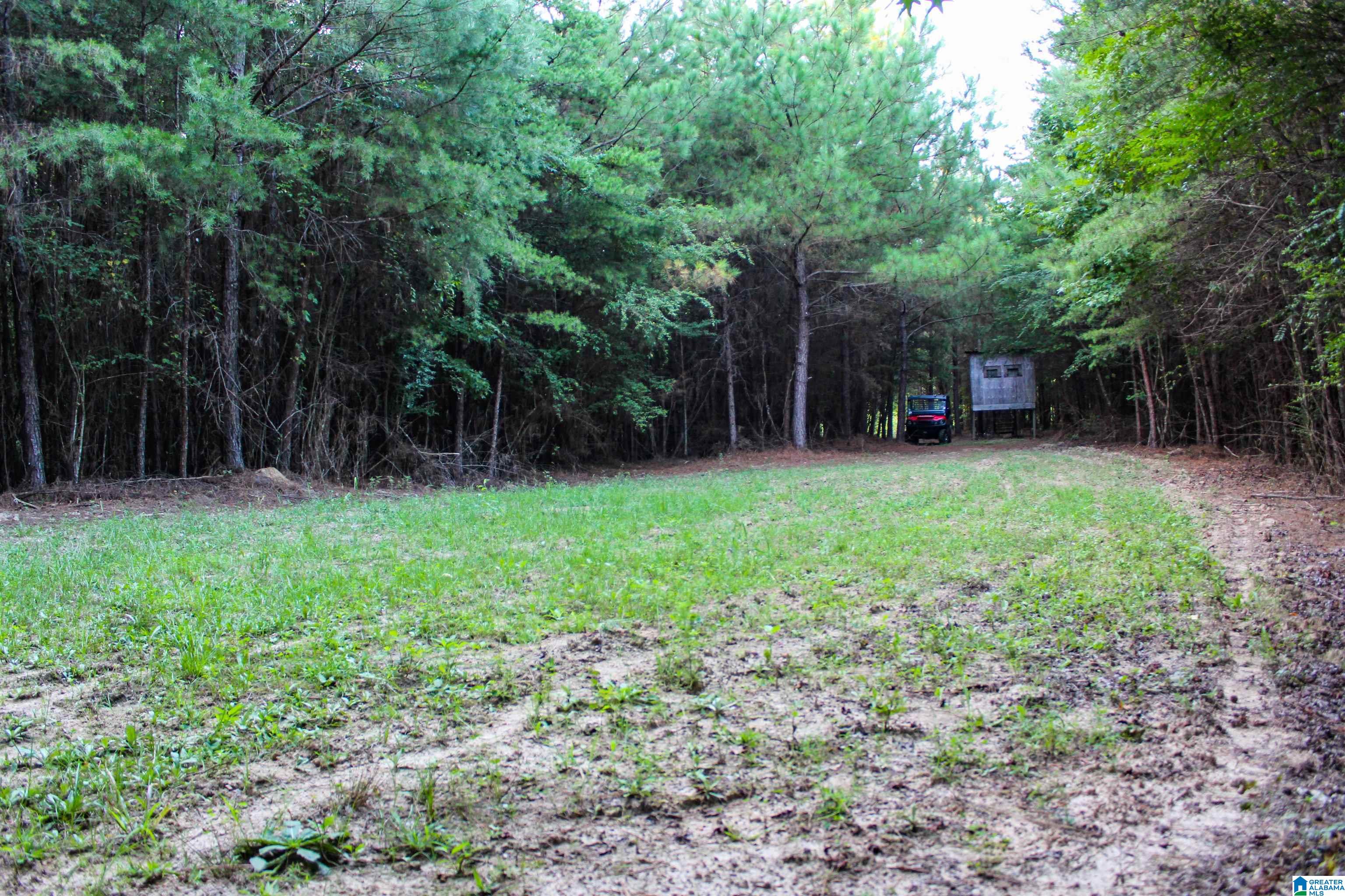 Bonner Drive, Unit 1 Berry, AL 35546 - Photo 11 of 56