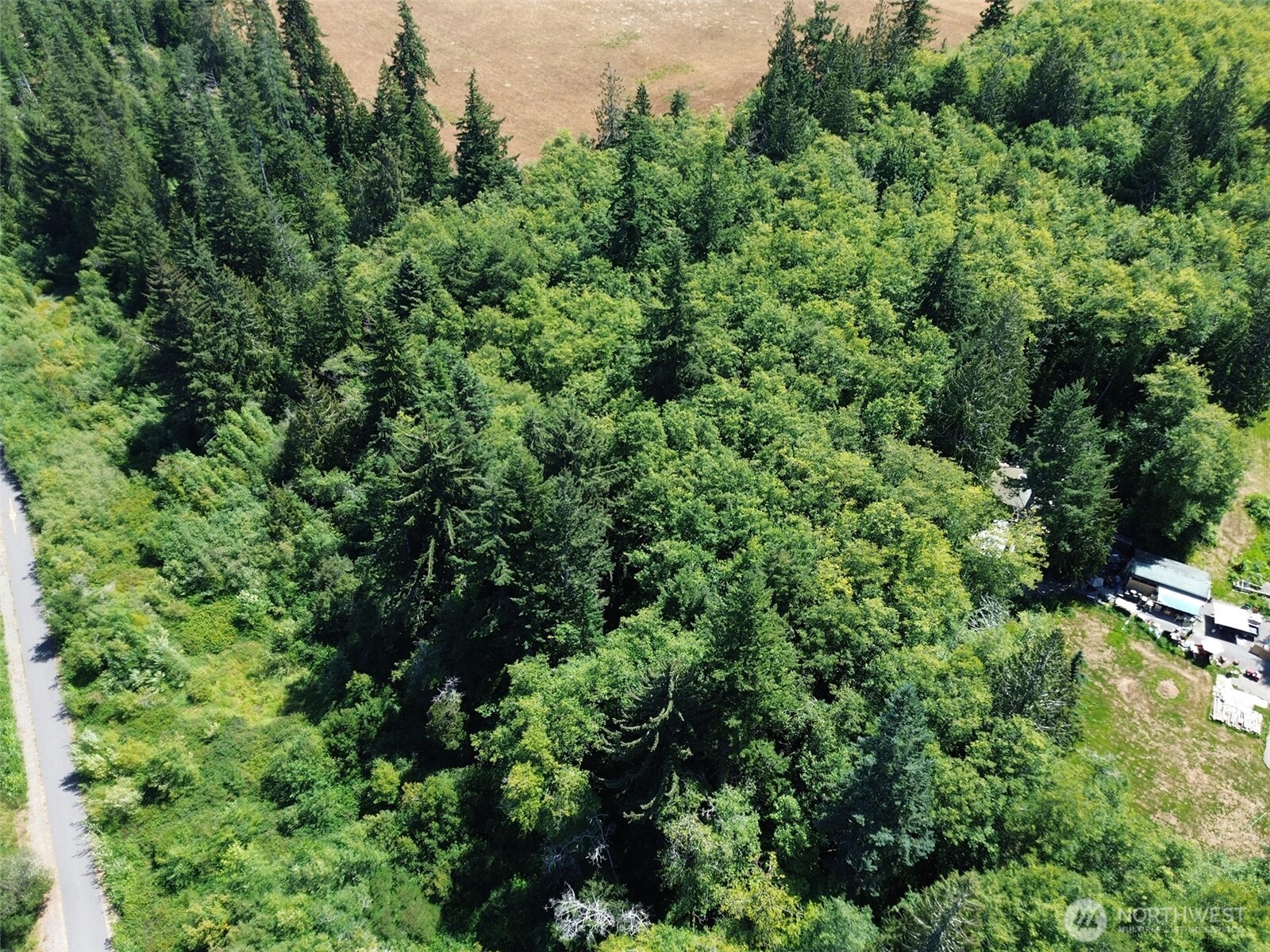 0 Thompson Road Port Angeles, WA 98363 - Photo 11 of 15 an aerial view of a house with a yard