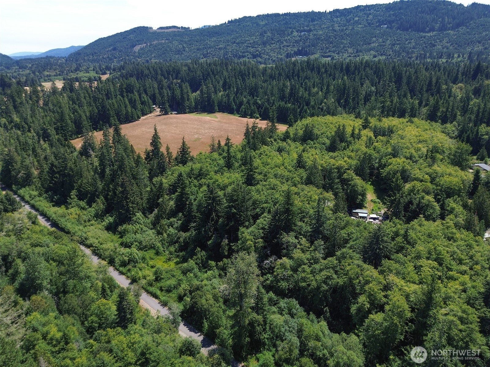 0 Thompson Road Port Angeles, WA 98363 - Photo 10 of 15 a view of a lush green hillside and a houses
