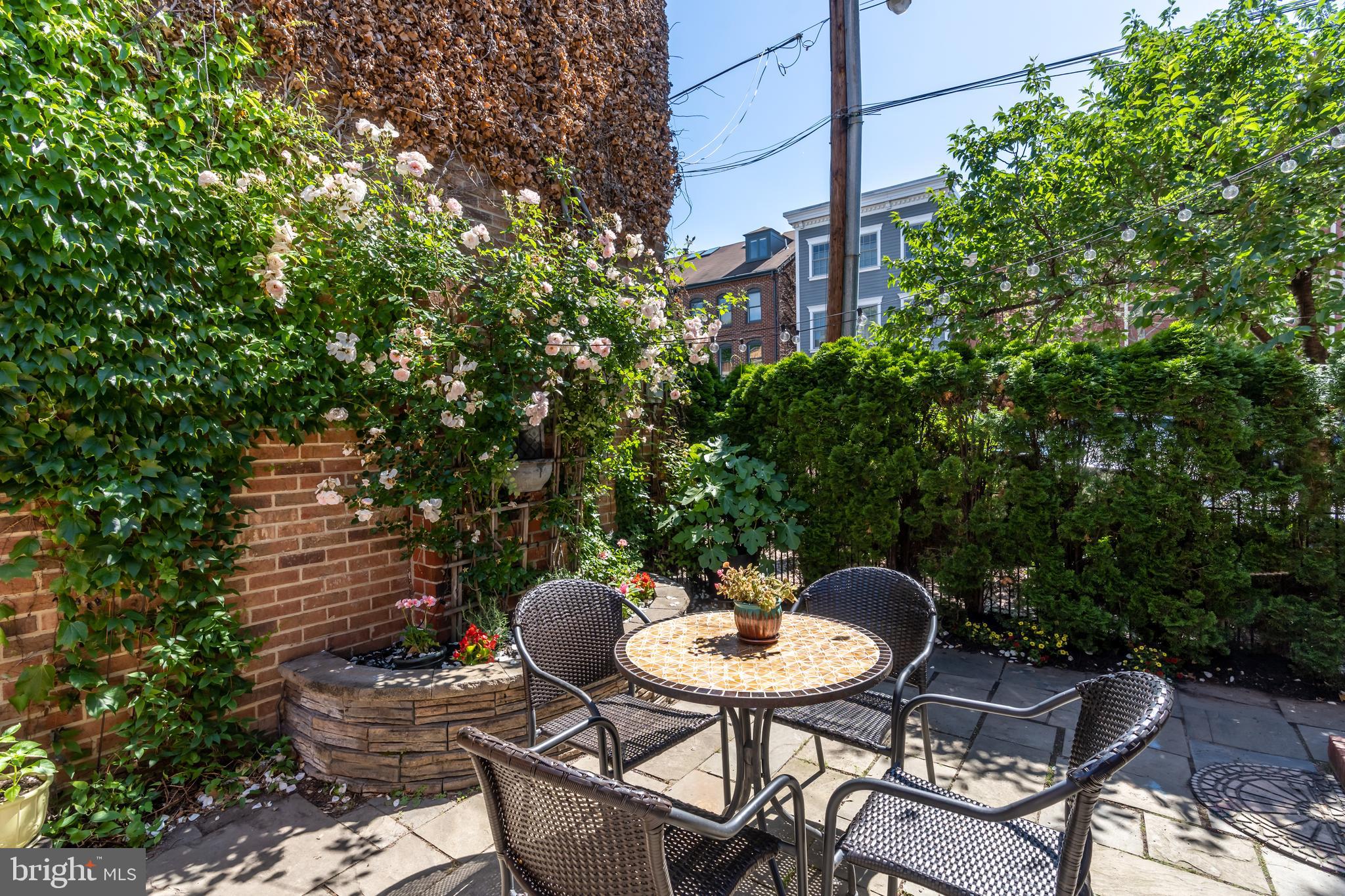901 Princess Street Alexandria, VA 22314 - Photo 11 of 21 Serene backyard
