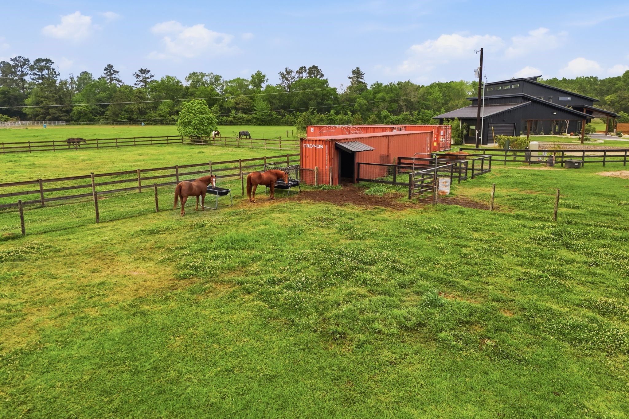 2743 Bobville Road Montgomery, TX 77316 - Photo 9 of 50