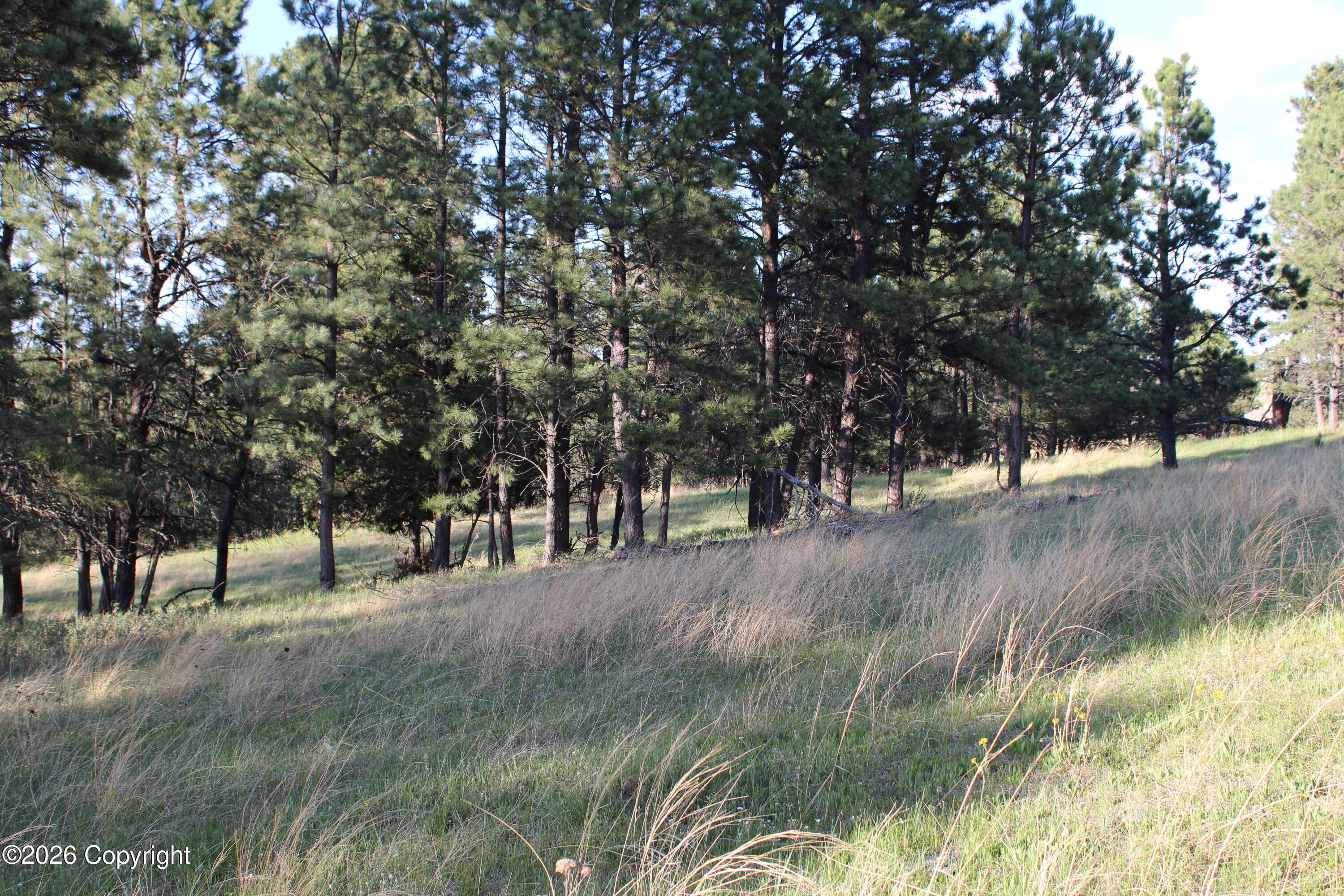 12 River Road Hulett, WY 82720 - Photo 14 of 23 Gallery Image 14