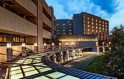 a view of a street with houses