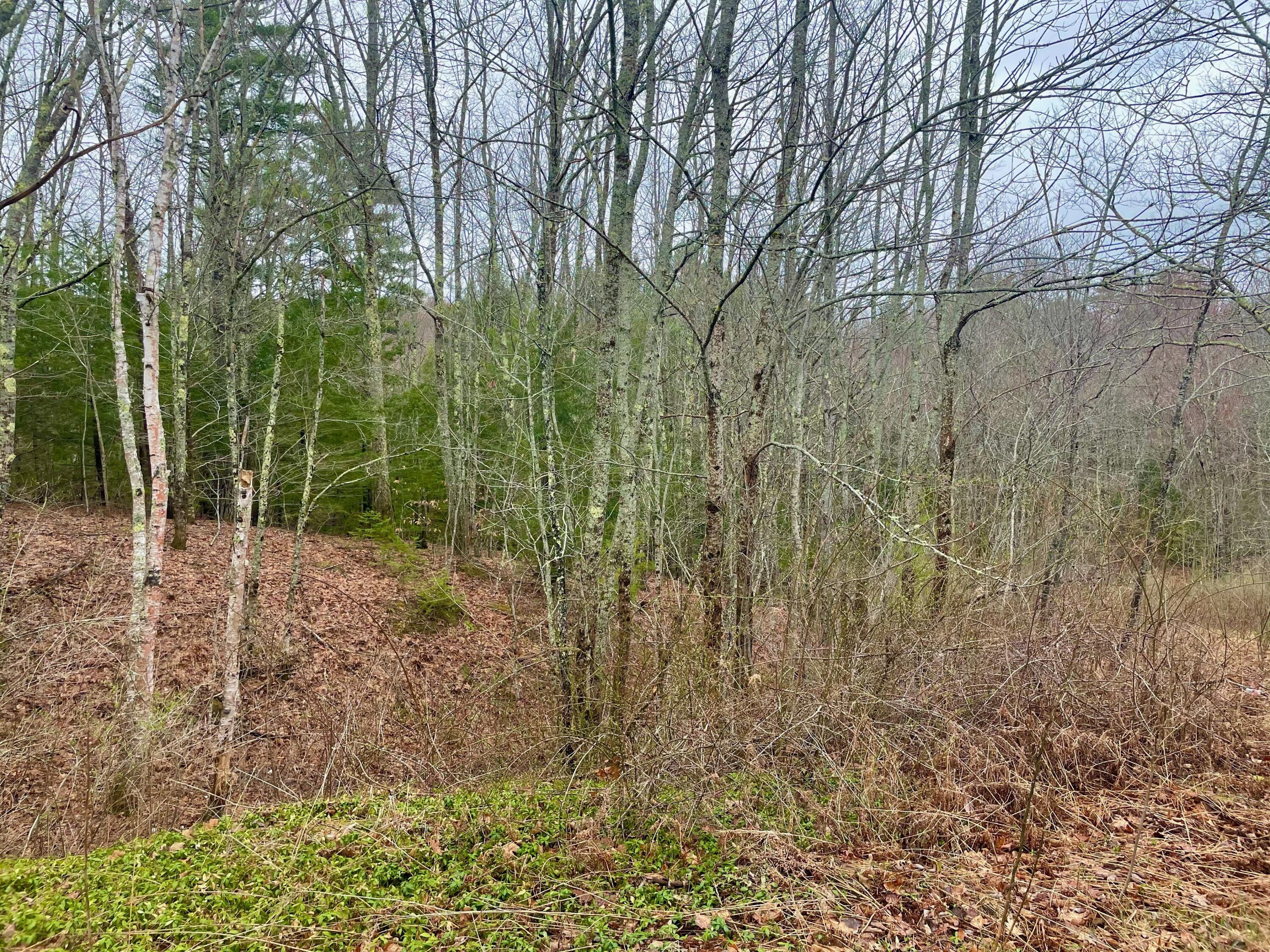 7 Laren Road Jefferson, ME 04348 - Photo 3 of 5 Photo 3