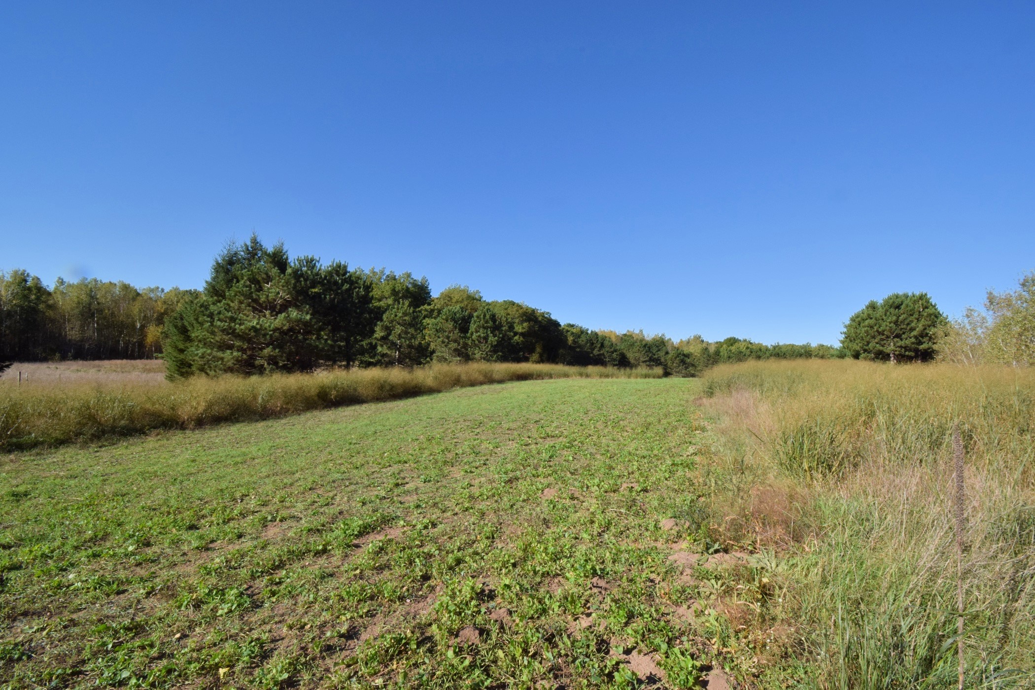 4899 County Road A Webster, WI 54893 - Photo 39 of 60