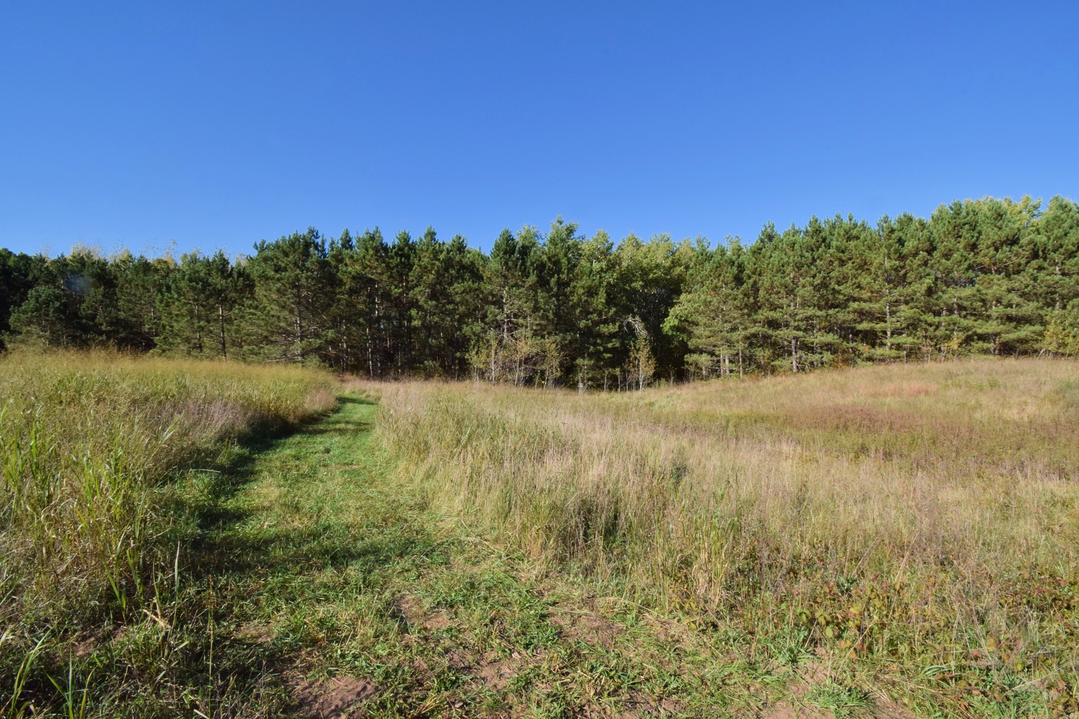 4899 County Road A Webster, WI 54893 - Photo 41 of 60