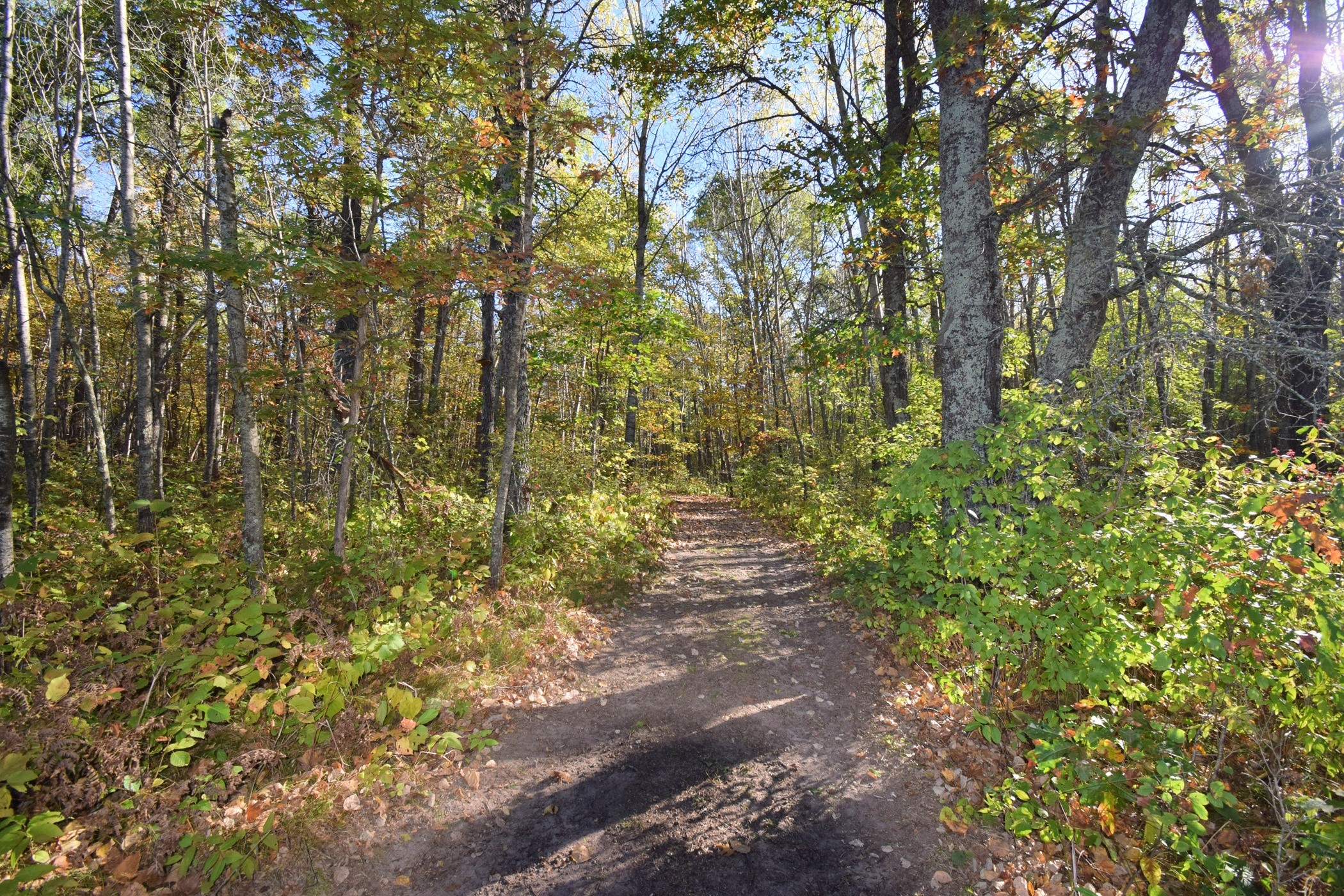 4899 County Road A Webster, WI 54893 - Photo 45 of 60