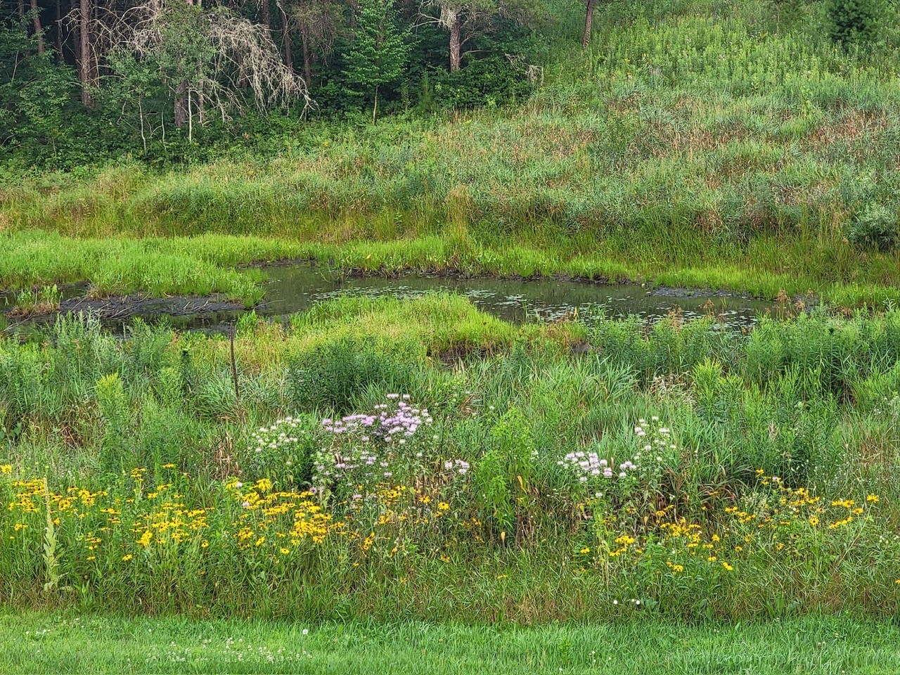 4899 County Road A Webster, WI 54893 - Photo 53 of 60