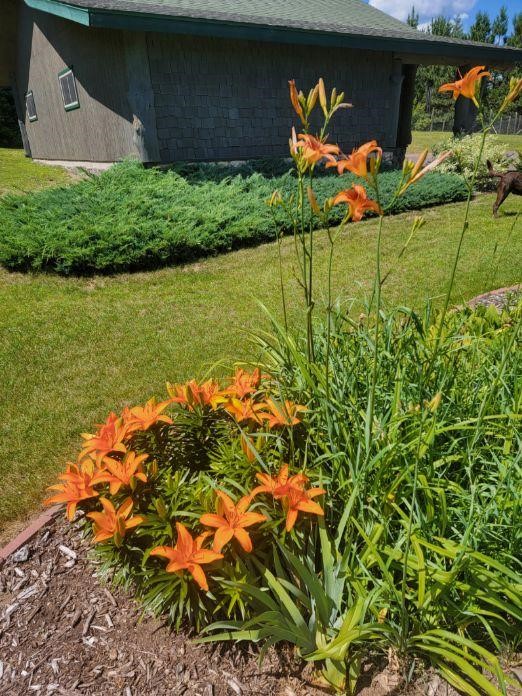 4899 County Road A Webster, WI 54893 - Photo 56 of 60