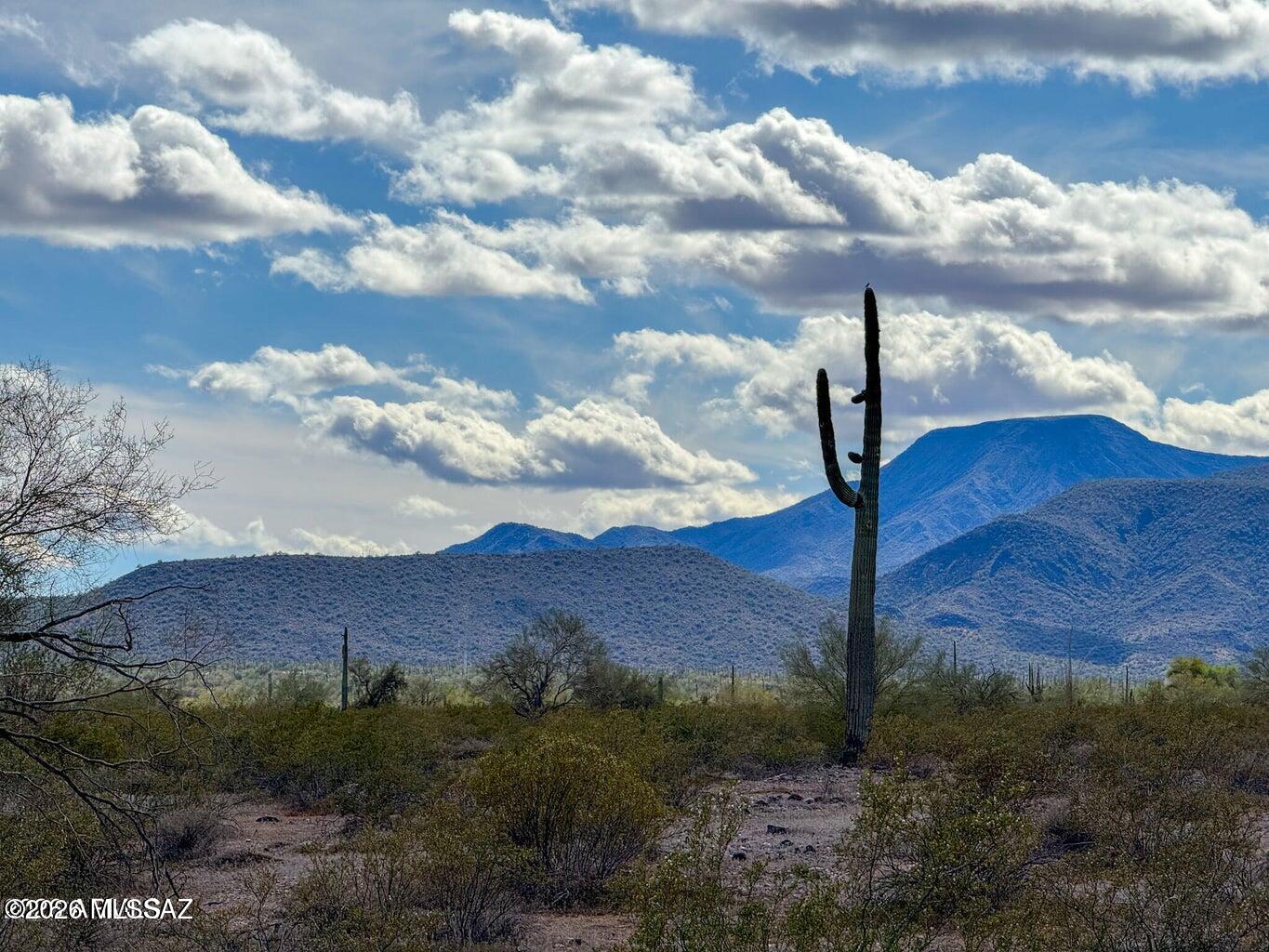 0 East Almendra Road Maricopa, AZ 85139 - Photo 18 of 20 20260225215534226119000000-o