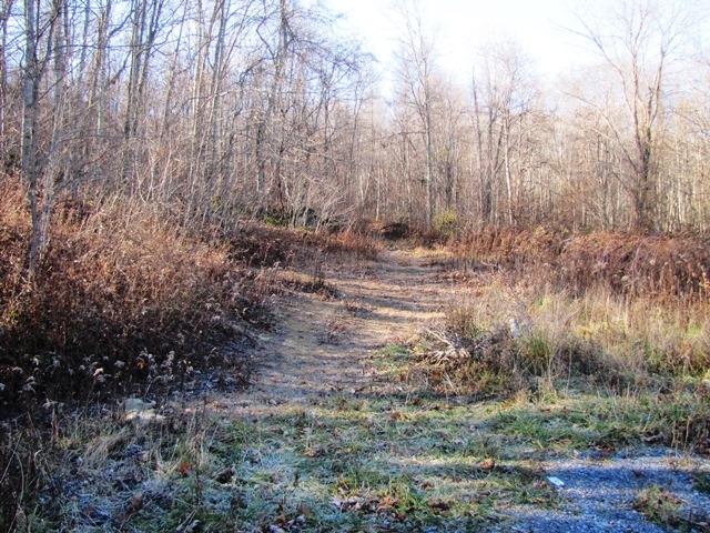Black Oak Road Rock, WV 24747 - Photo 5 of 14 Gallery Image 5