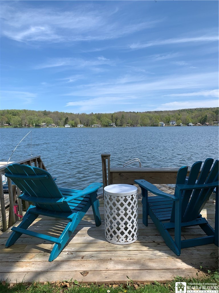 2596 Shadyside Road Mina, NY 14736 - Photo 19 of 23 Dock area
