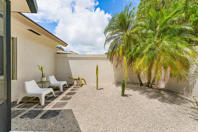 a view of a yard with a plant