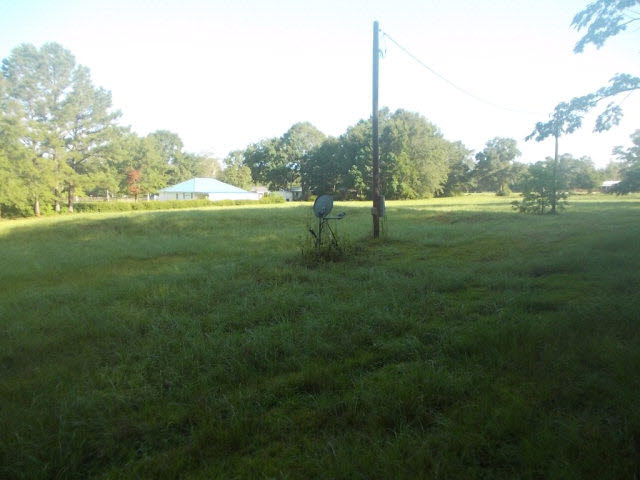 39883 T A Chastang Road Bay Minette, AL 36507 - Photo 3 of 5