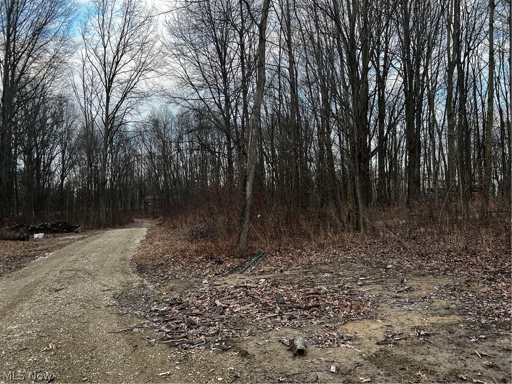 10016 Cable Line Road Newton Falls, OH 44444 - Photo 11 of 29
