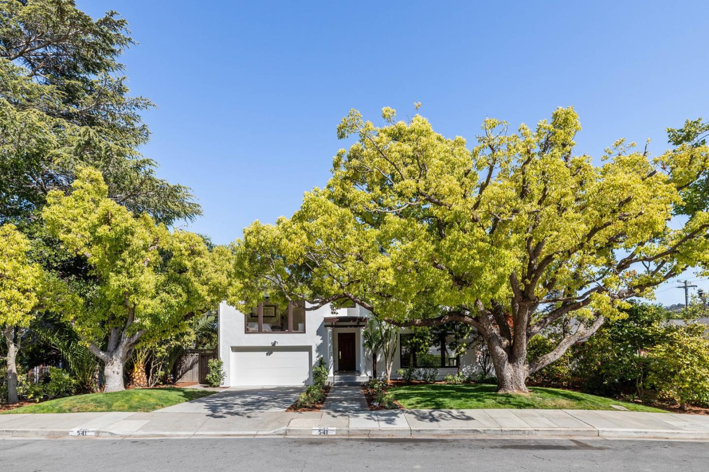 541 Nevada Avenue San Mateo, CA 94402 - Photo 17 of 100 a front view of a house with a tree