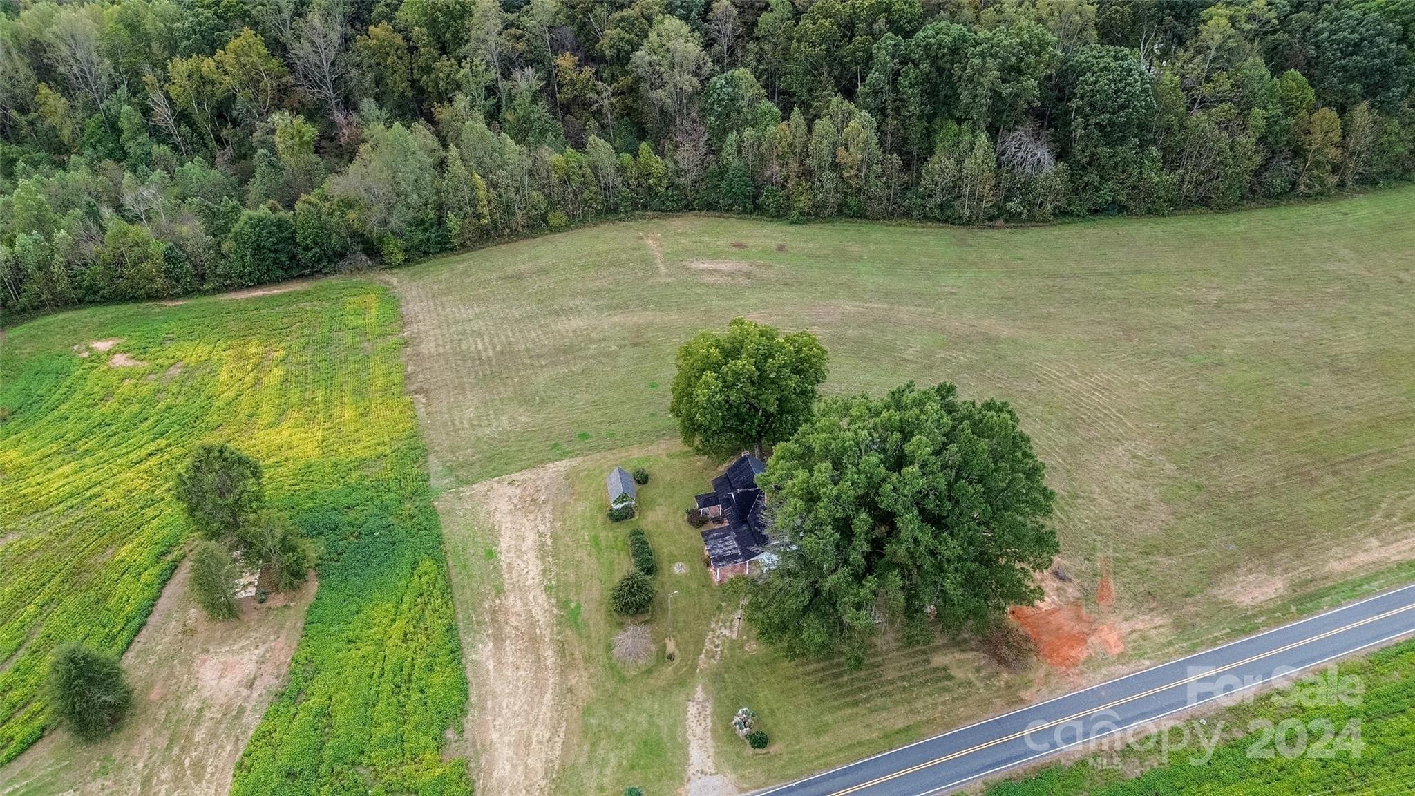 431 Friendship Road Olin, NC 28660 - Photo 38 of 44 a view of a garden with a pathway