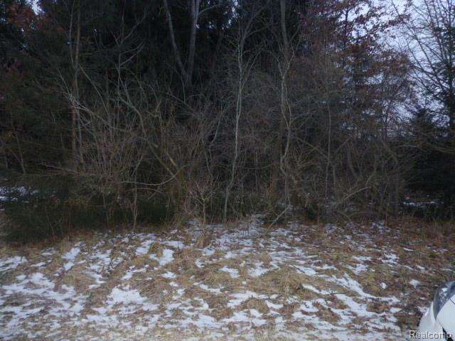 6 Jones Road North Branch, MI 48461 - Photo 2 of 14 Gallery Image 2