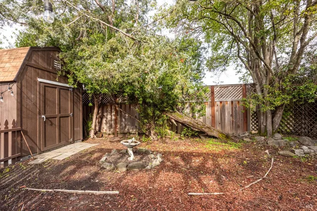 a view of a backyard with wooden fence and a large tree
