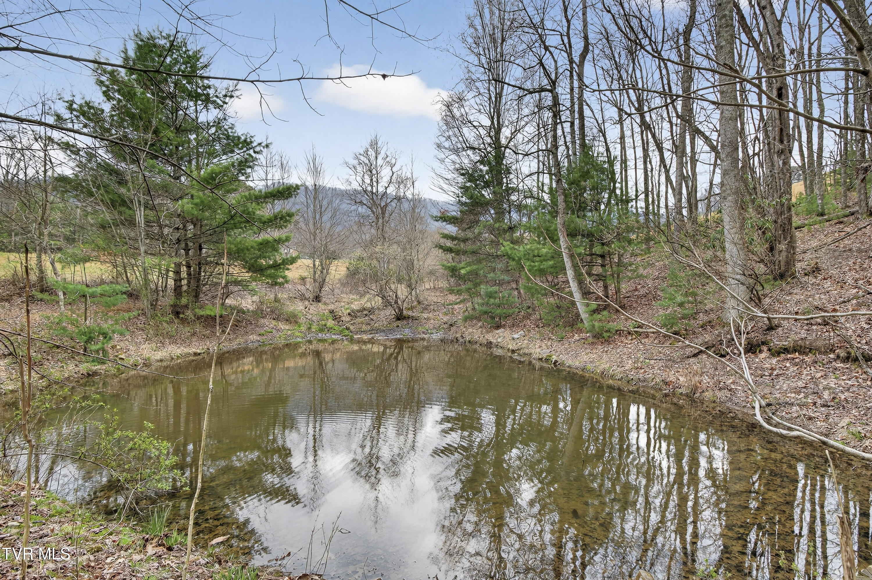 329 Mill Creek Road Chilhowie, VA 24319 - Photo 46 of 61 329-Mill-Creek-Rd-Chilhowie-VA Highlands