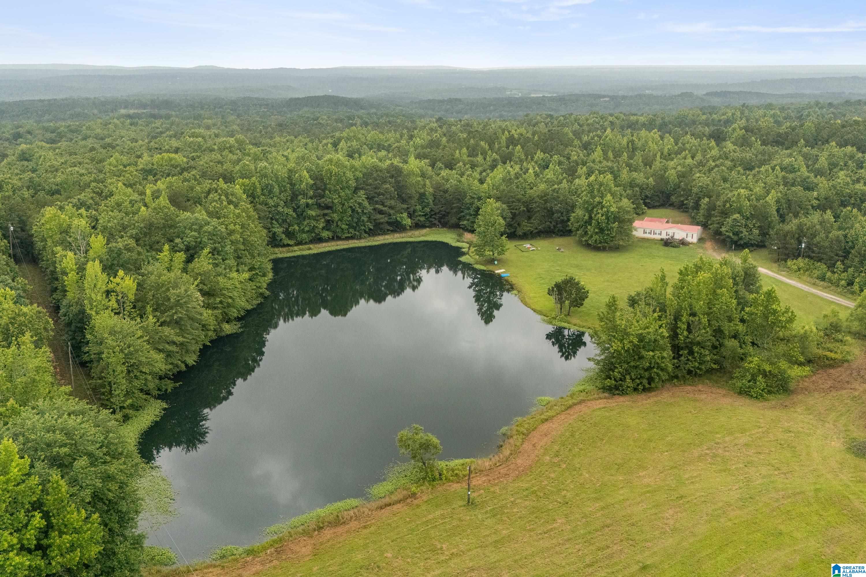 1484 Jones Chapel Loop, Unit 1484 Springville, AL 35146 - Photo 12 of 27
