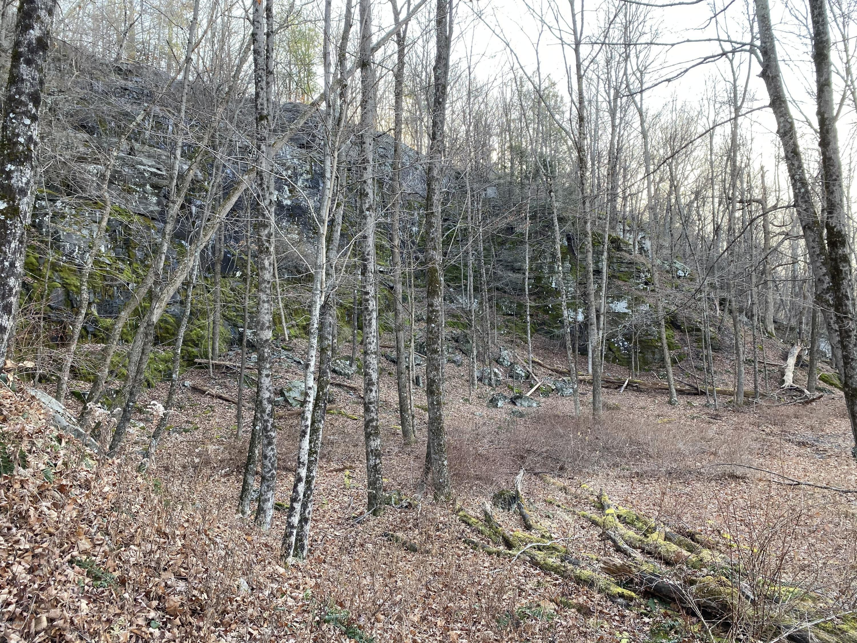 Mountain View Road Newfoundland, PA 18445 - Photo 8 of 15