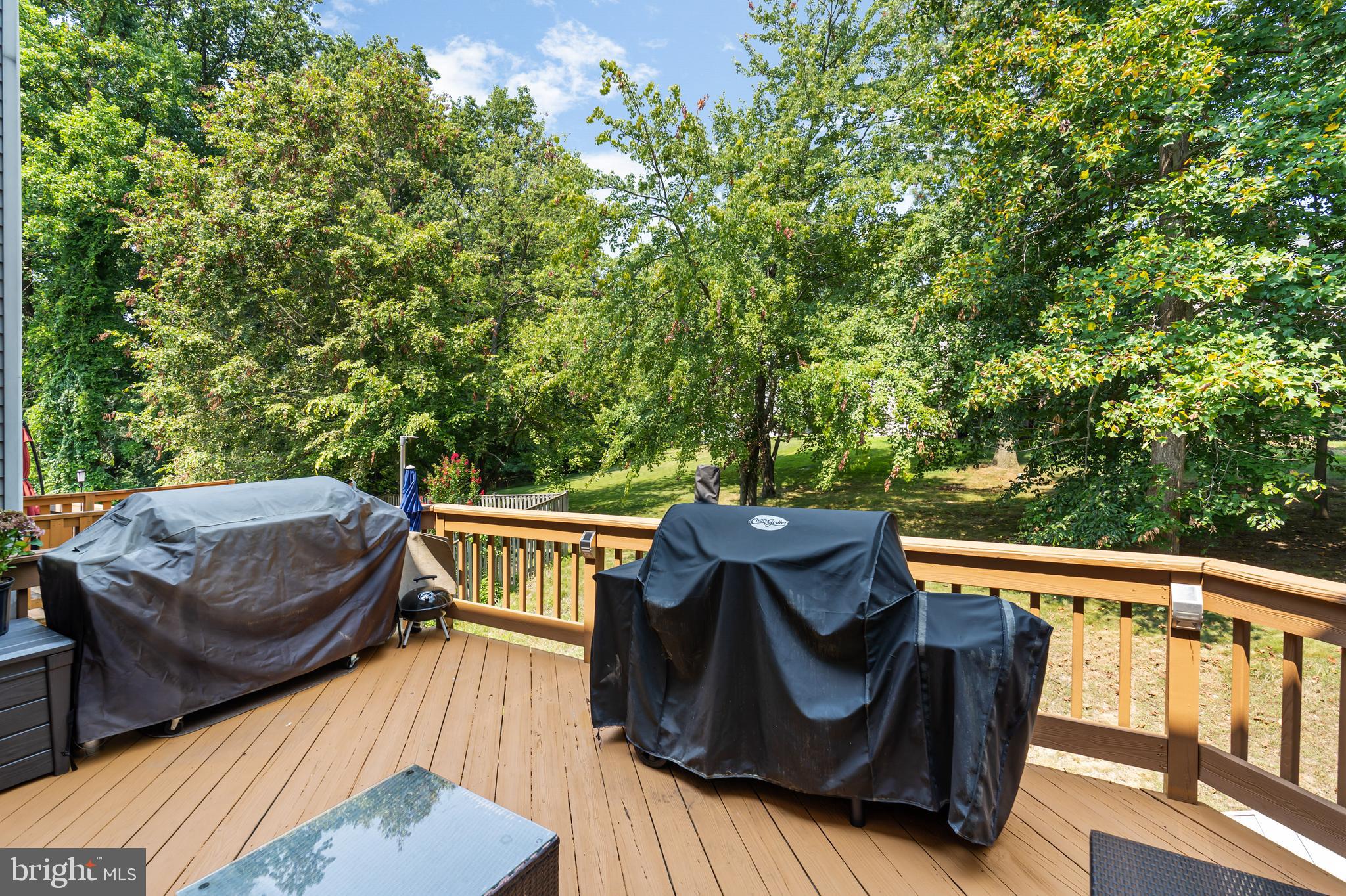 7904 Rustling Bark Court Ellicott City, MD 21043 - Photo 29 of 32 Enjoy Outdoor Fun and Summer Nights