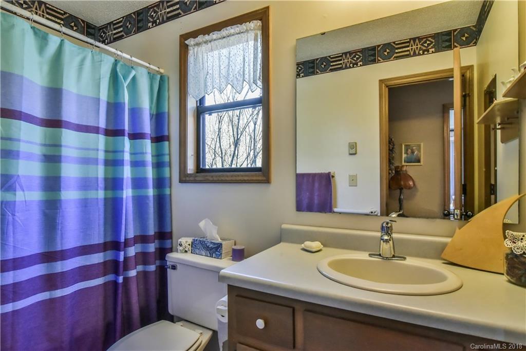 286 Pioneer Ridge Road Canton, NC 28716 - Photo 26 of 33 a bathroom with a sink a toilet a mirror and shower curtain