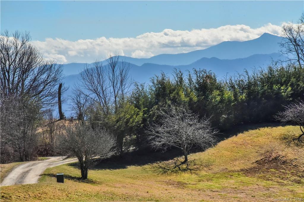 286 Pioneer Ridge Road Canton, NC 28716 - Photo 6 of 33 a view of a backyard