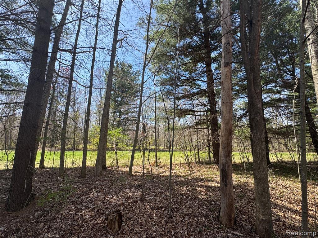 1400 East Dayton Road Caro, MI 48723 - Photo 51 of 63 Gallery Image 51